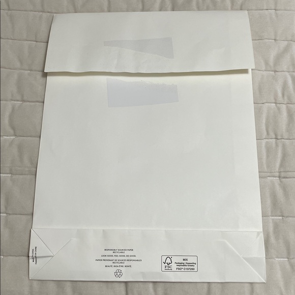 Aritzia Shopping and Packaging Bags Bundle - Picture 7 of 11